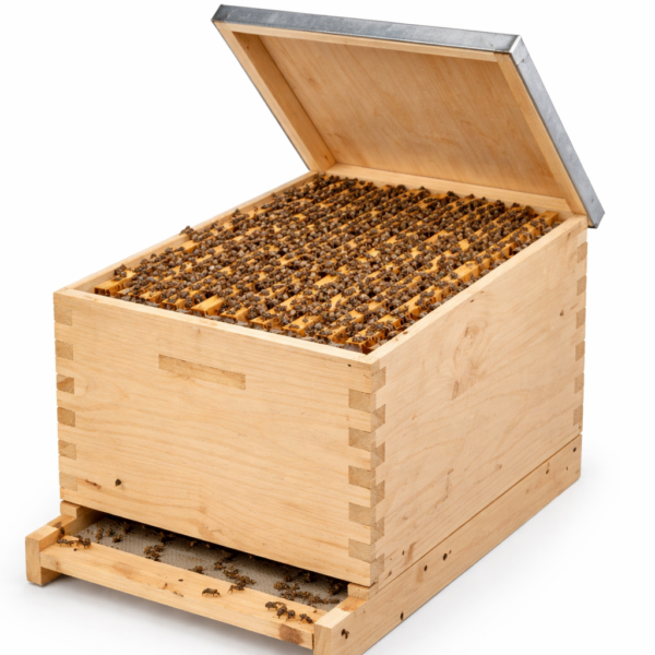 Single Story Hive Package
